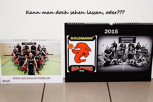 Dolphins-Wandkalender-2